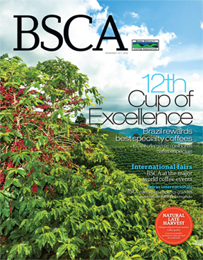 bsca_293